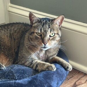 If looks could kill!  She’s actually very sweet!